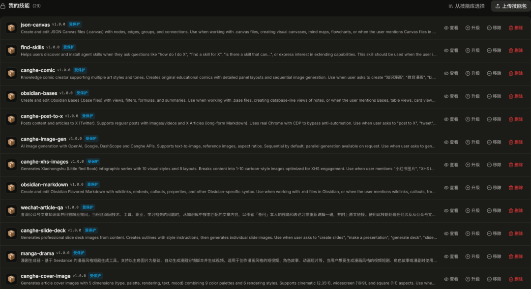 已安装技能库列表,展示了json-canvas、find-skills等29个技能模块