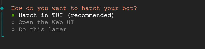选择在TUI(终端界面)中启动Bot