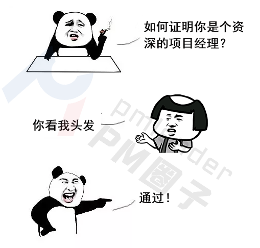 用头发证明资深项目经理的漫画