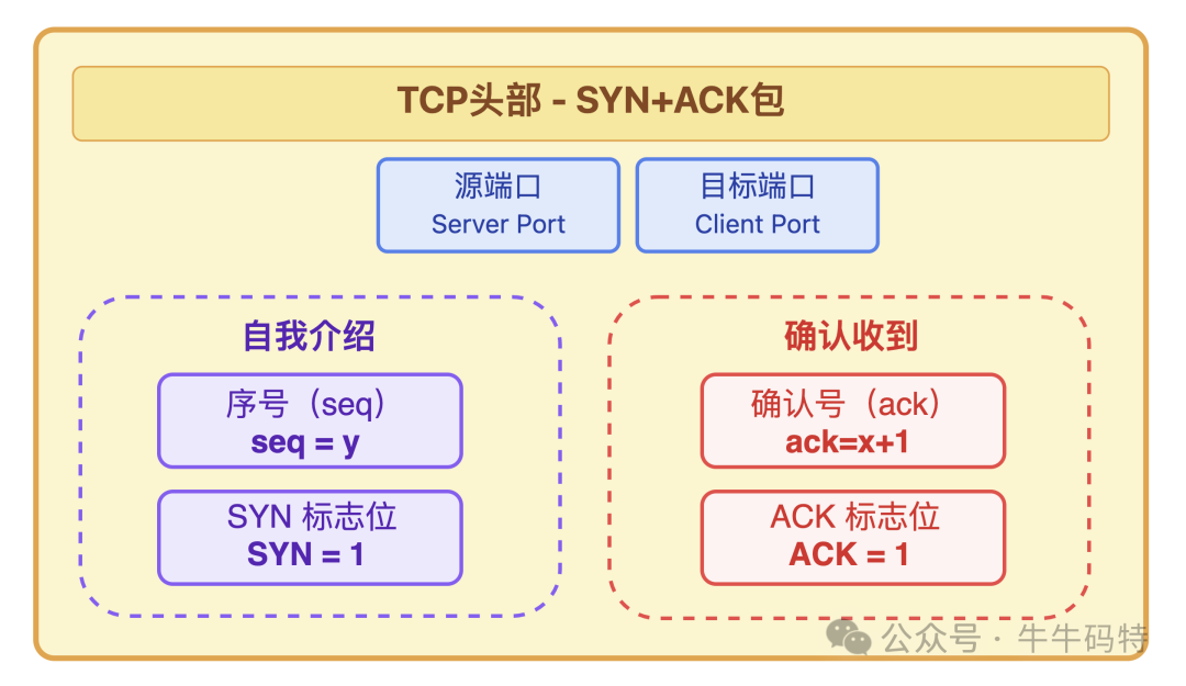 TCP头部SYN+ACK包结构
