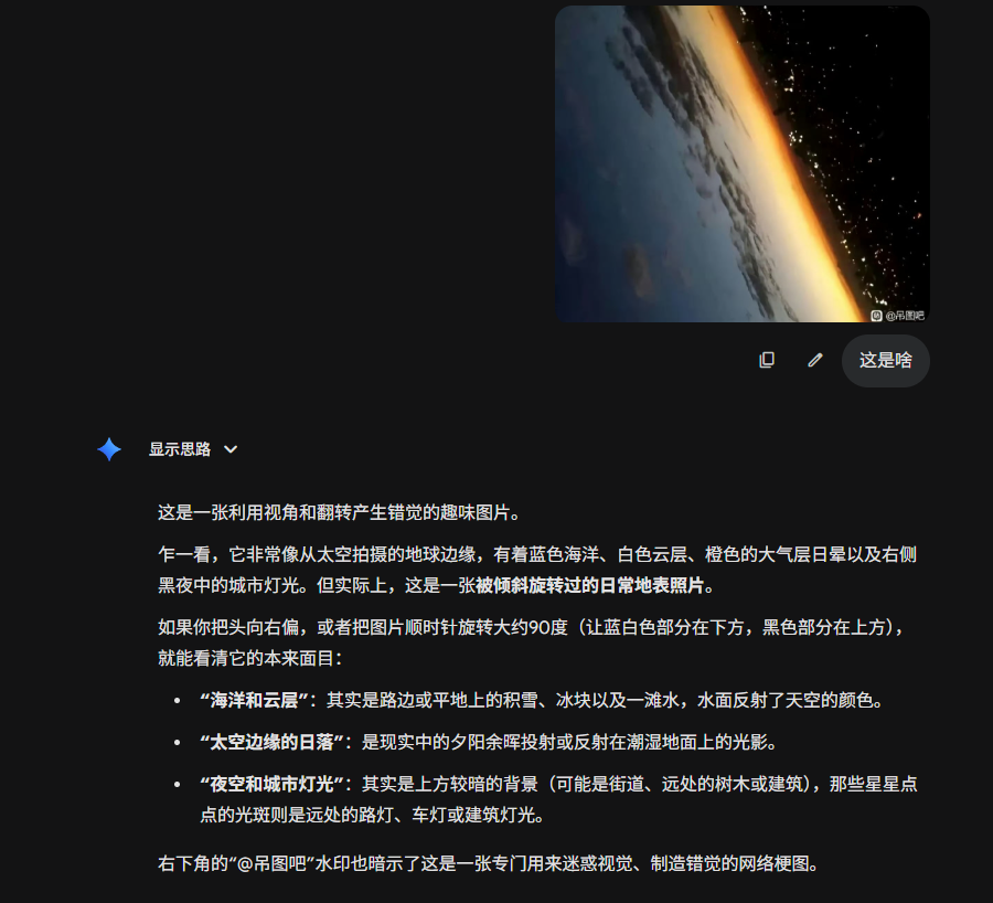 Gemini识破翻转视图