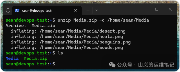 使用 unzip 命令解压 Media.zip 文件