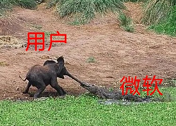非洲象宝宝用鼻子与鳄鱼在泥地搏斗，配文“用户”“微软”
