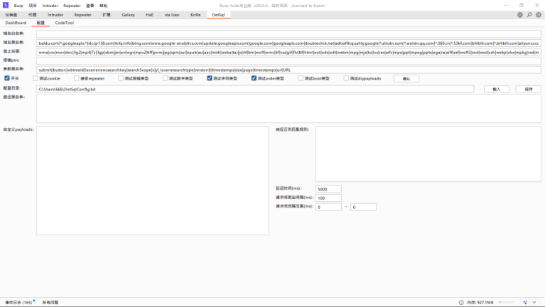 Burp Suite DetSql插件配置