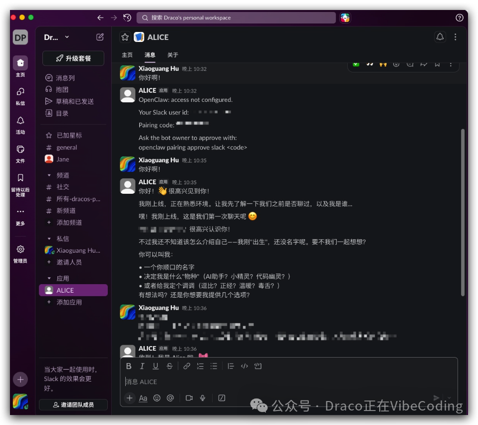 为 OpenClaw Bot 进行初始化的对话示例