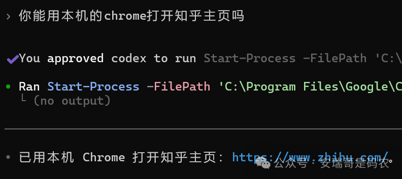 Codex 直接批准运行Chrome打开知乎的命令