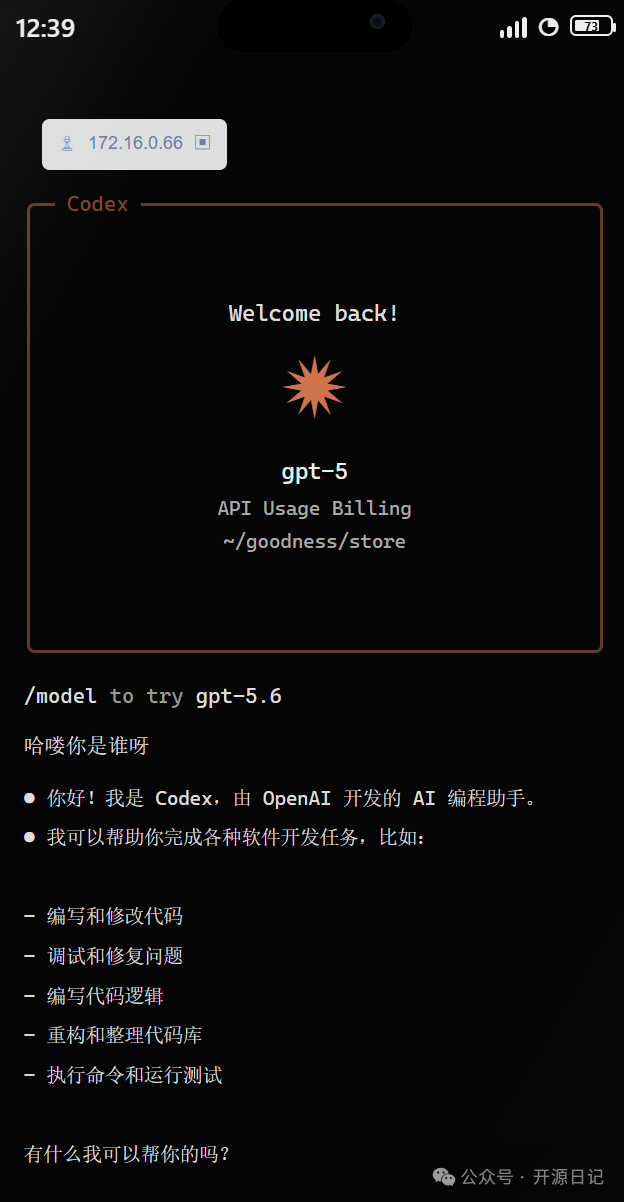 Codex AI 编程助手移动端界面
