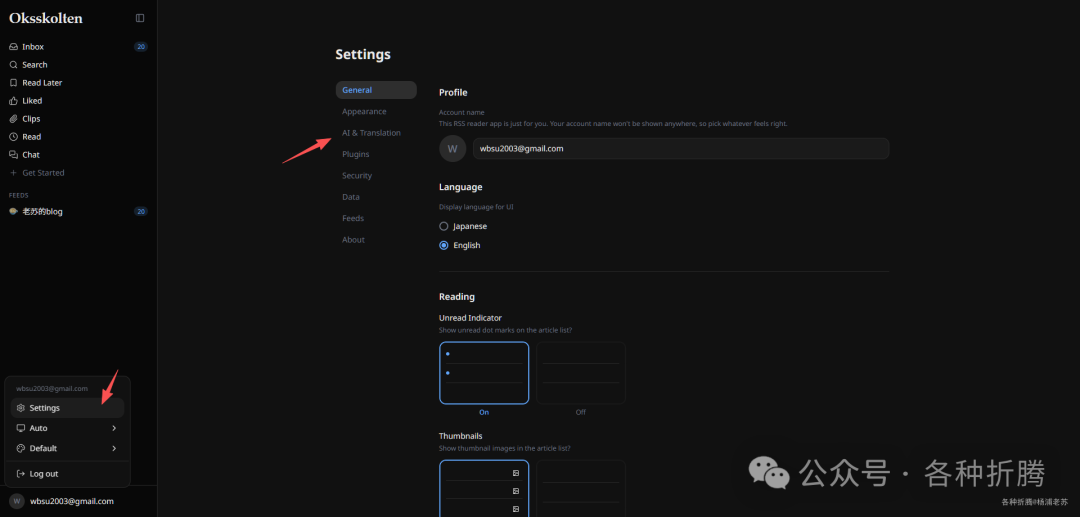 Oksskolten设置界面-常规选项
