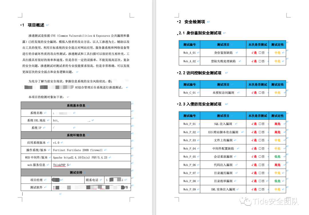 项目概述与安全检测项列表