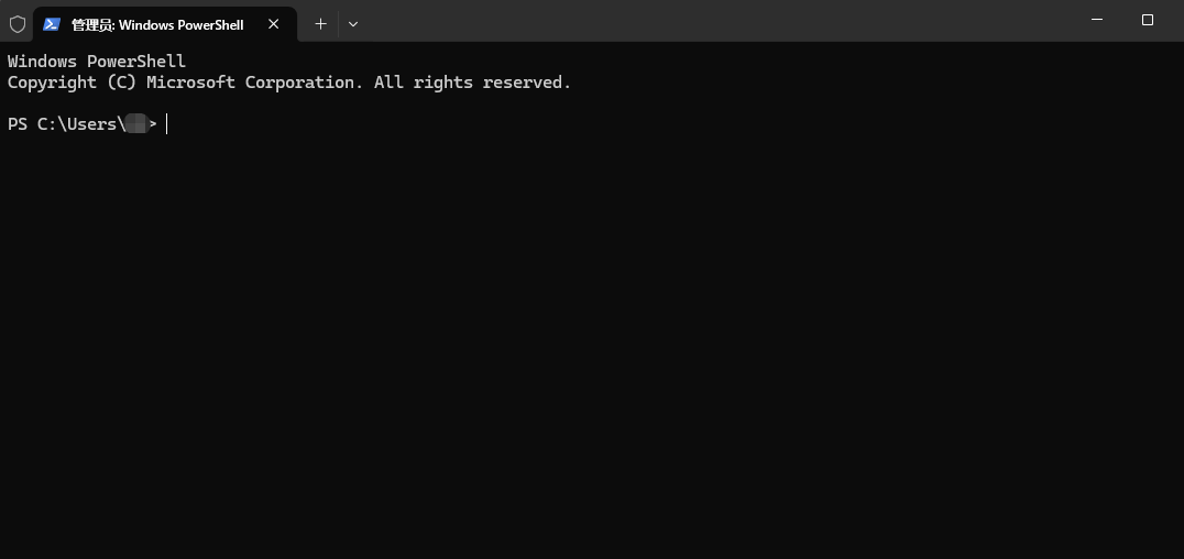 Windows PowerShell 管理员终端窗口截图