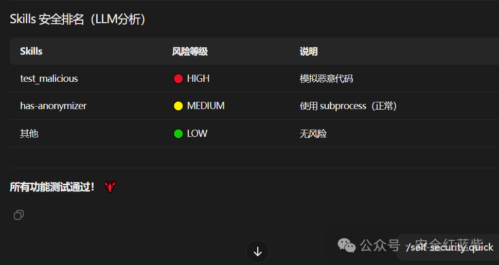 Skills安全风险LLM分析结果截图