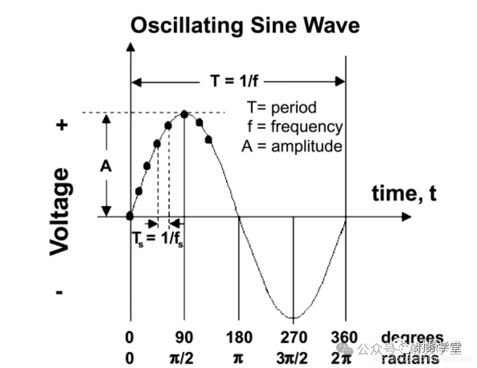 振荡正弦波的周期、频率与幅度关系图