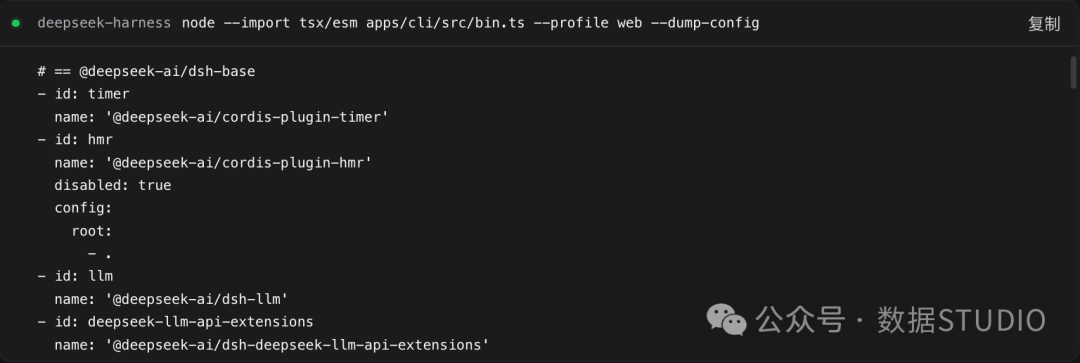 dsh dump-config 命令输出