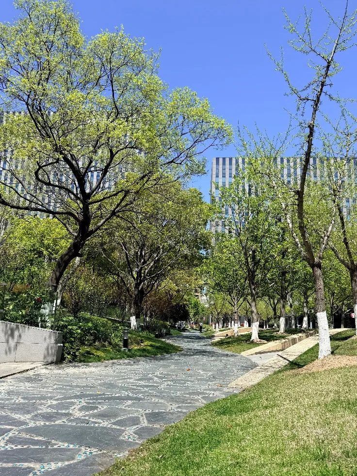 漕河泾绿化步道