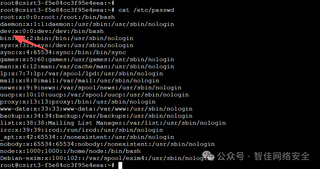 /etc/passwd 截图：dev 用户 UID/GID 为 2，shell 为 /bin/bash