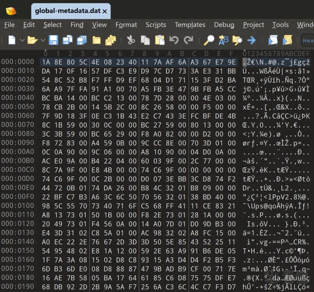 Hex编辑器查看global-metadata.dat文件