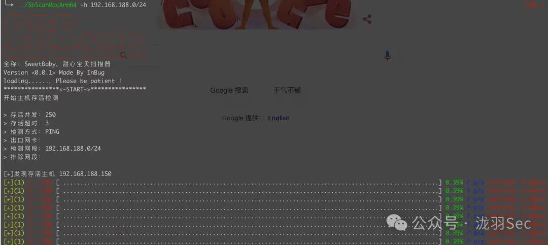 扫描器启动并进行主机存活探测