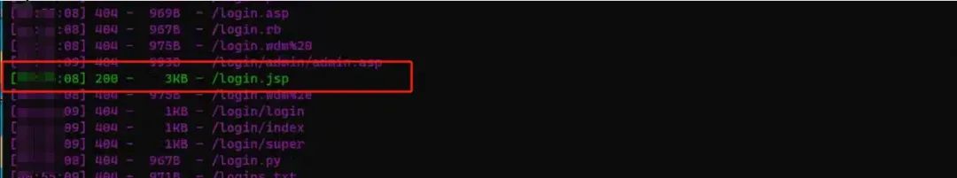 扫描结果发现login.jsp