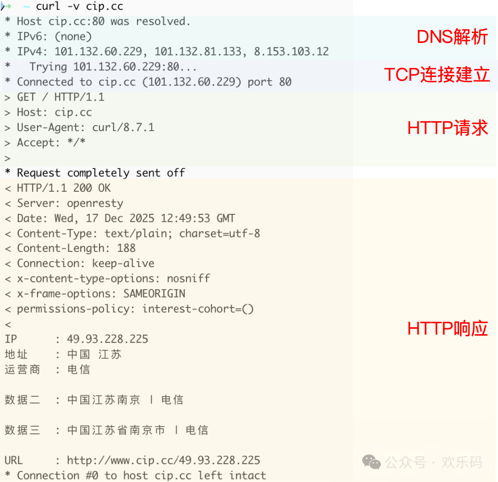 执行 curl -v cip.cc 命令