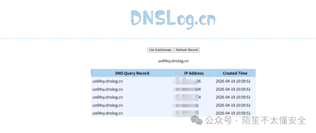 DNSLog记录 - 收到回显