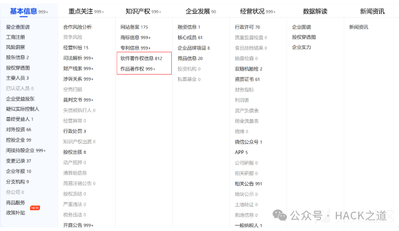 企业知识产权信息示例