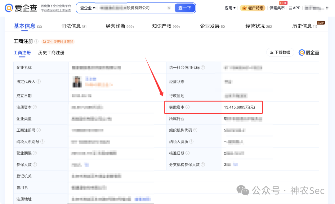 企业信息查询结果-实缴资本示例