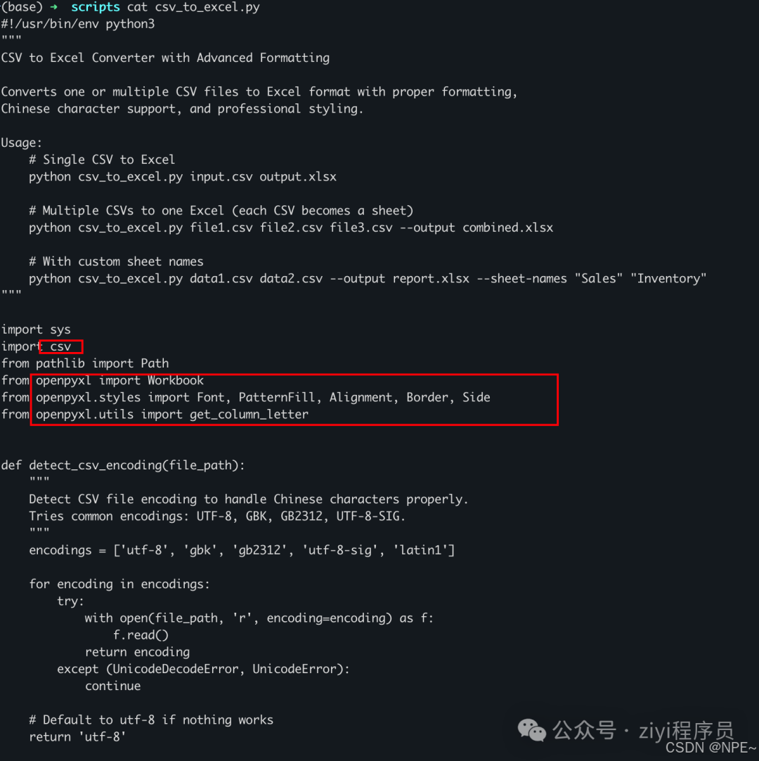 csv_to_excel.py 代码截图，包含导入模块和编码检测函数