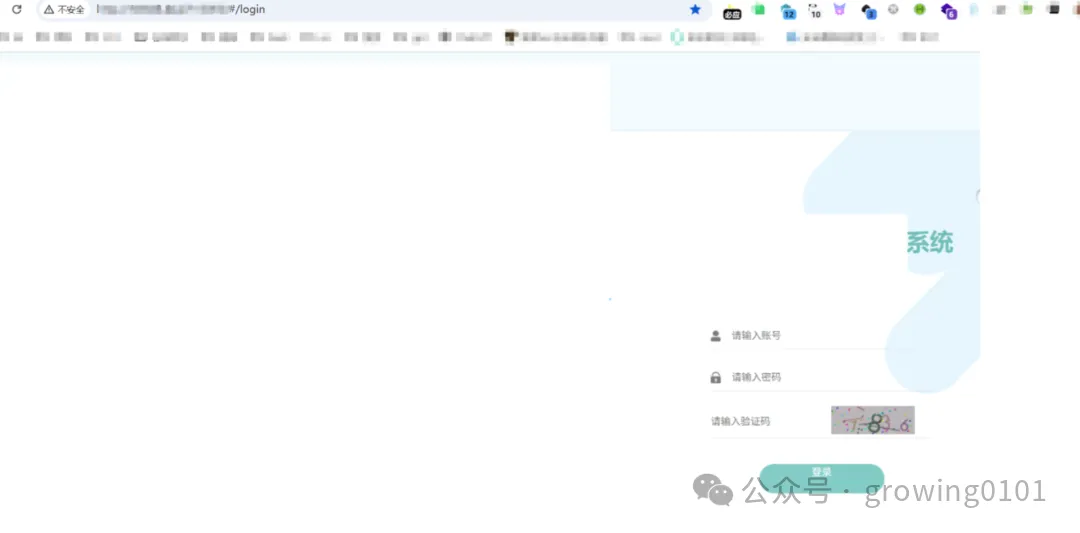 目标系统登录页面截图