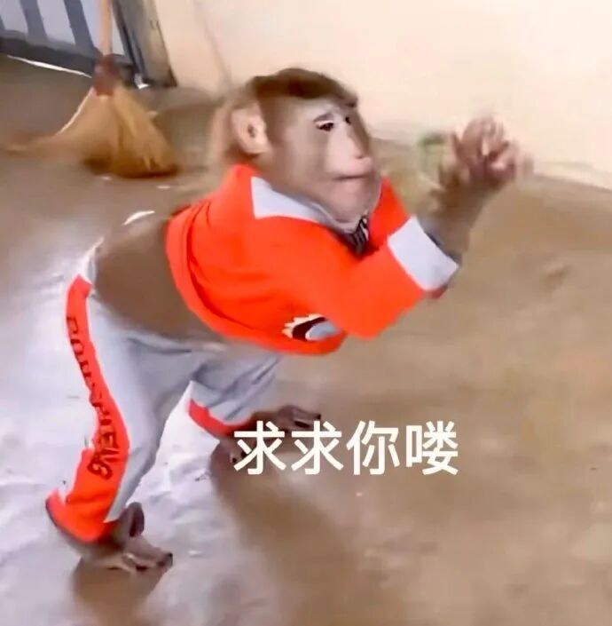 求求你喽