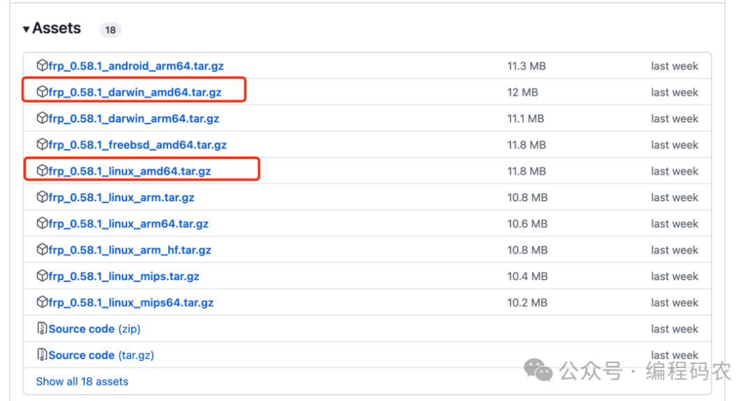 FRP GitHub Release 下载页面