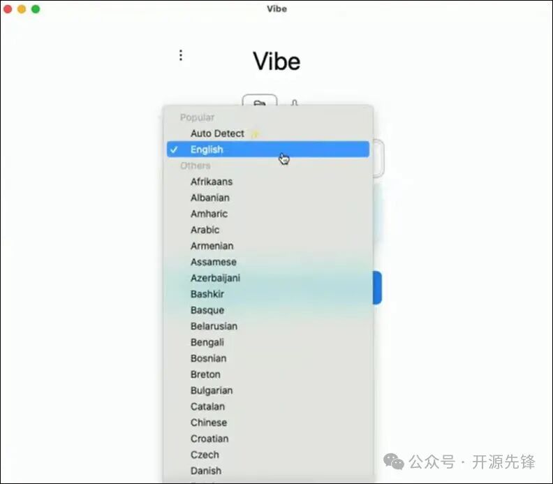Vibe 支持的部分语言列表