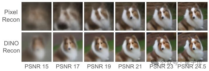 像素重建（Pixel Recon）与DINO重建（DINO Recon）的图像质量对比图