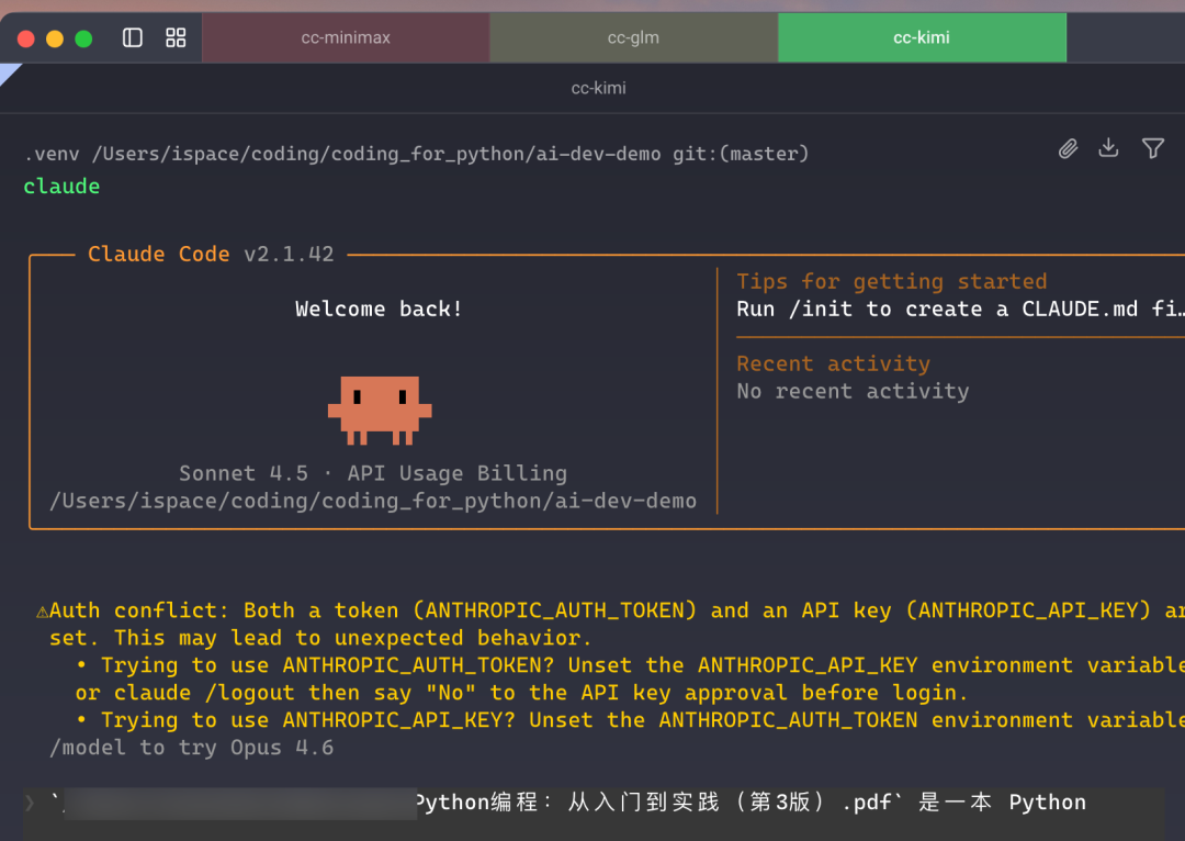 终端中Claude Code的欢迎界面及配置信息