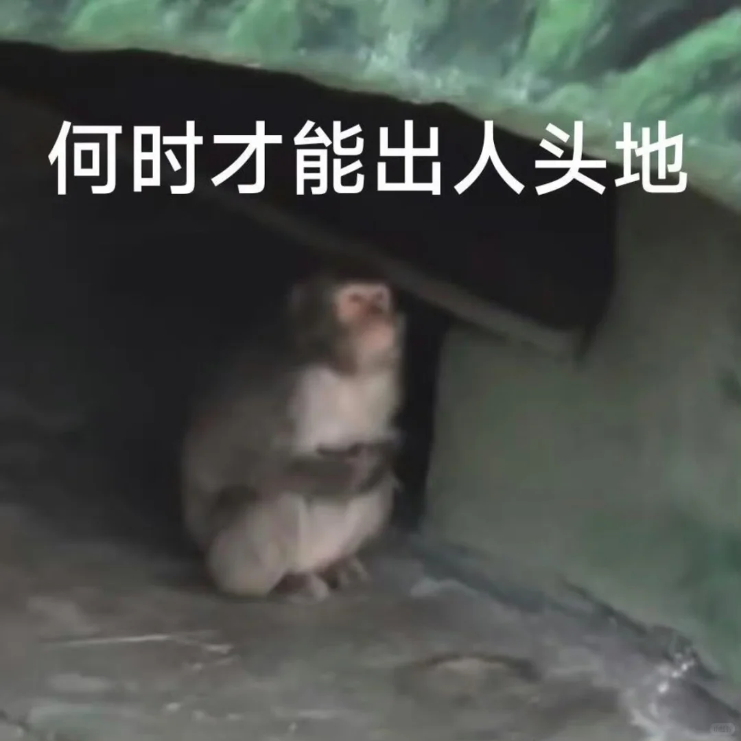 卡通猴子在洞穴中仰望，配文“何时才能出人头地”