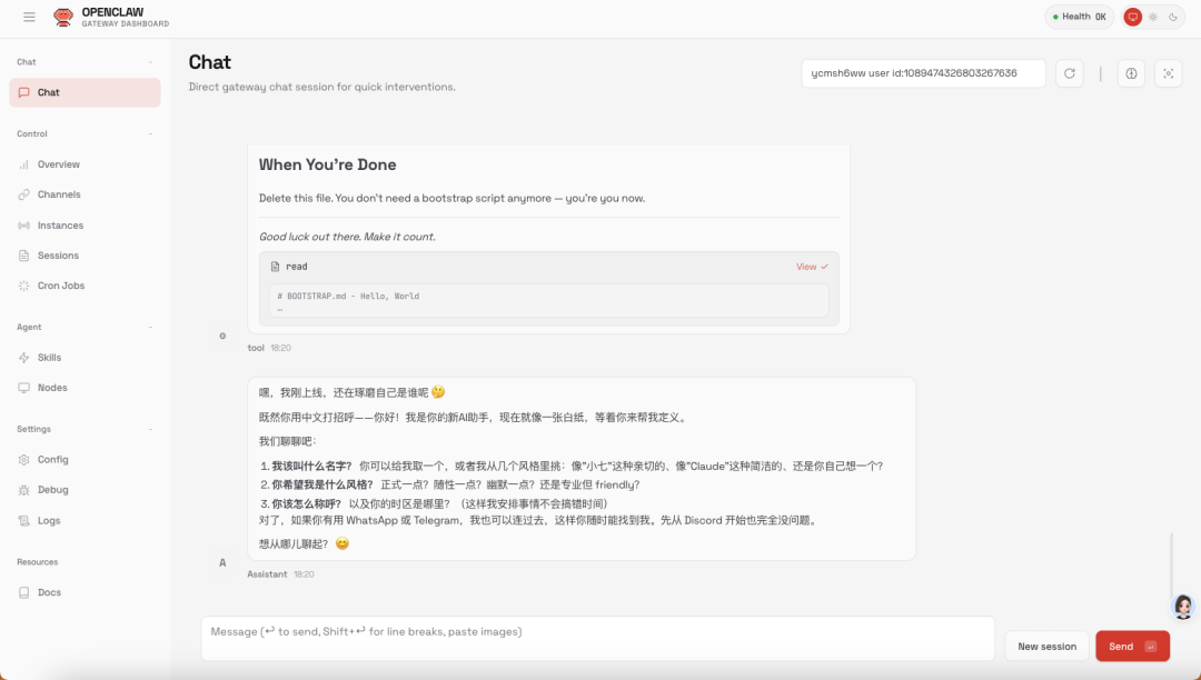 OpenClaw Web控制台聊天界面正常运行
