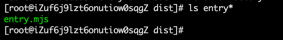 使用ls命令查看dist目录下的入口文件