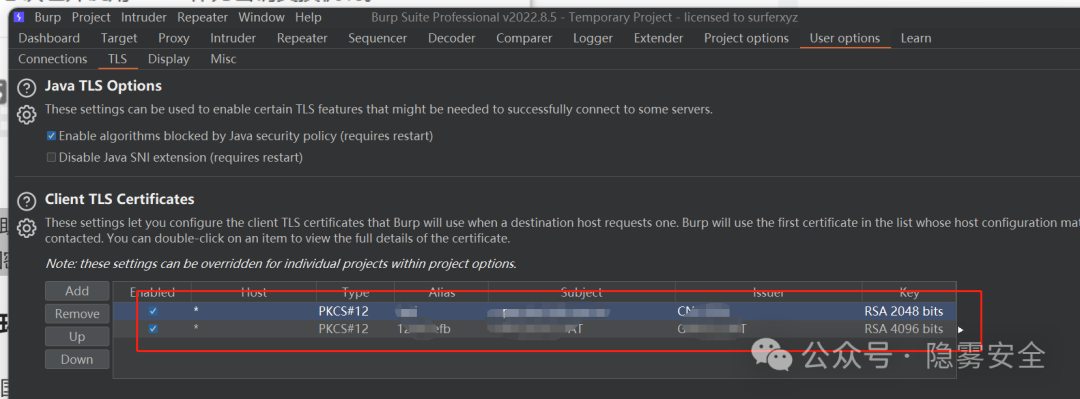BurpSuite客户端TLS证书配置界面