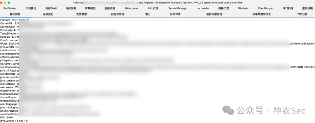 PetitPotam工具连接成功界面