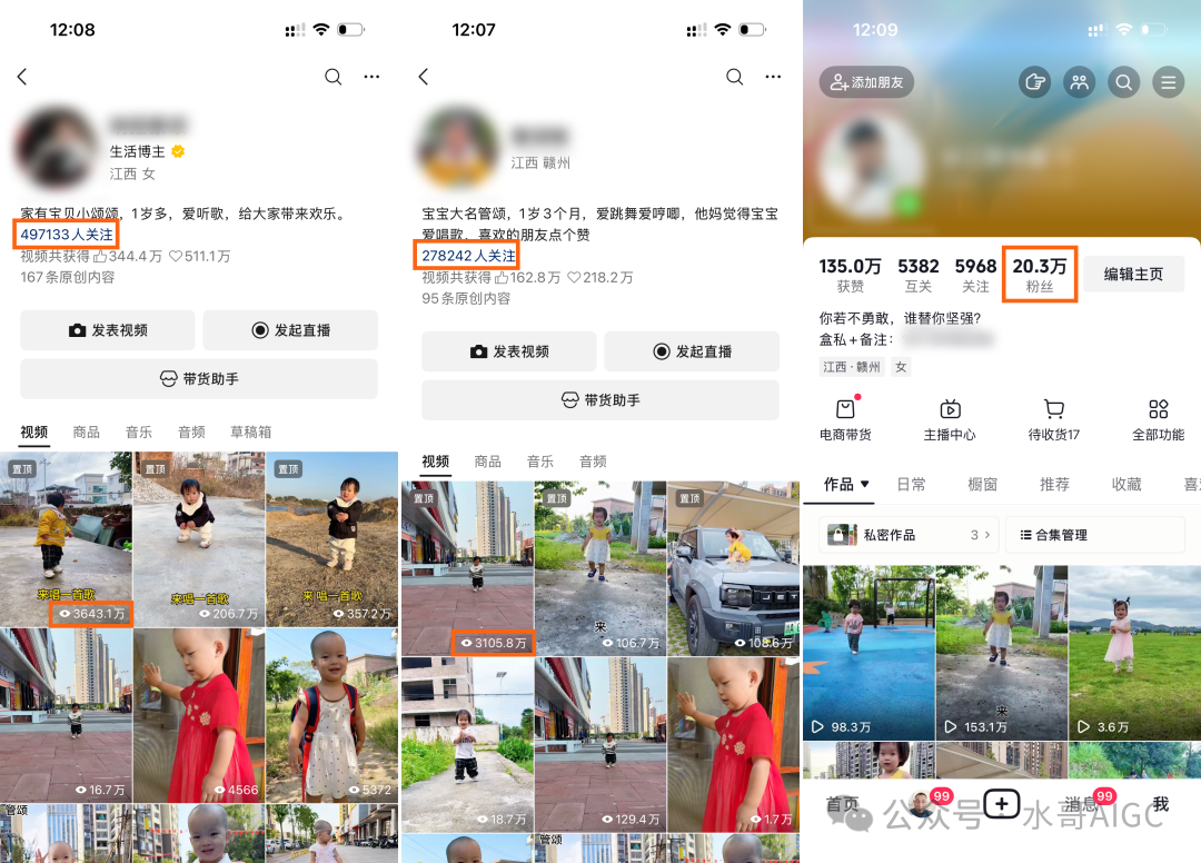 展示普通人通过SOP运营自媒体获得成功的案例截图