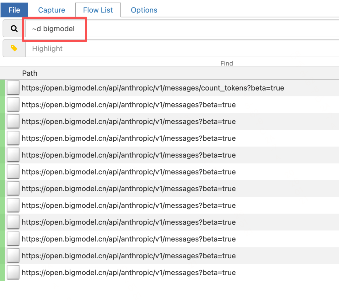 使用过滤器 ‘~d bigmodel’ 筛选后的请求列表