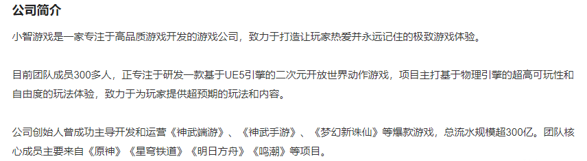 小智游创公司团队及项目介绍