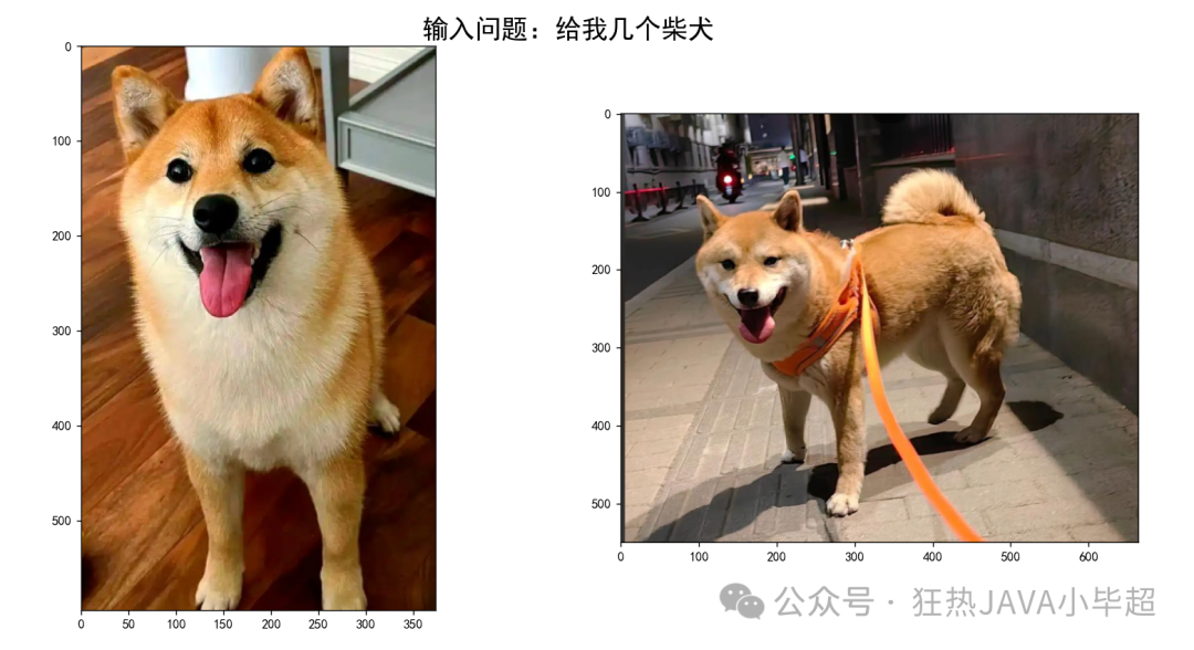 文搜图效果示例：查询“给我几个柴犬”的检索结果