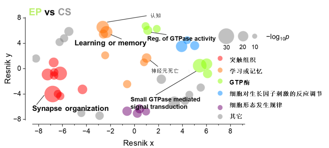 基因功能富集分析散点图,展示受影响的生物学过程