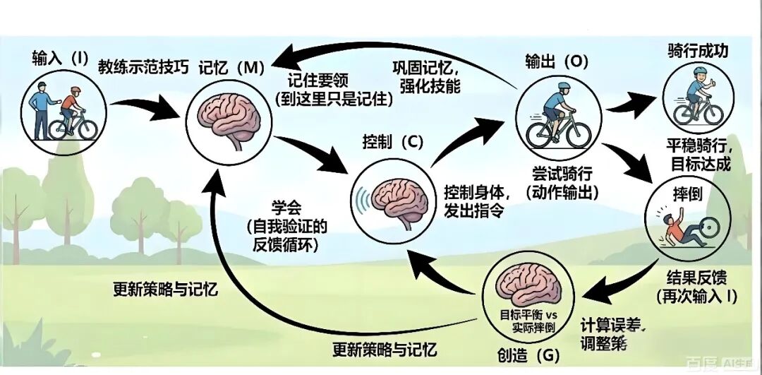 学骑自行车的闭环学习过程:从输入、记忆、控制、输出到反馈与更新