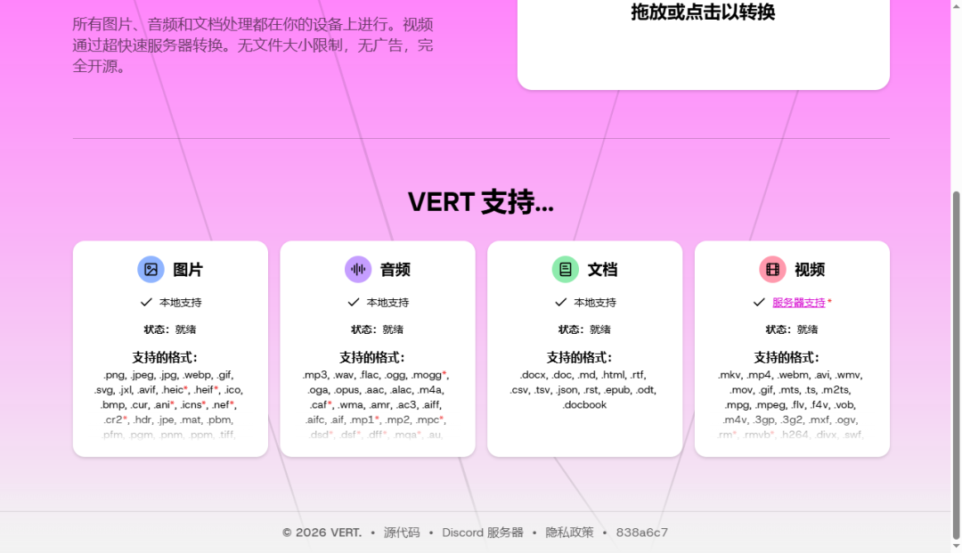 VERT 支持的文件格式详细列表