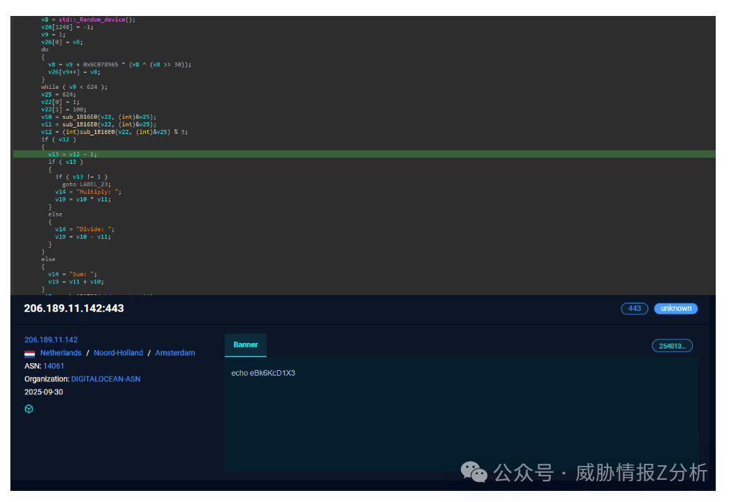 包含随机数生成和IP地址信息的代码截图