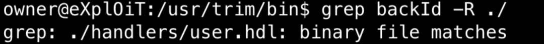 终端中使用grep命令在二进制文件中搜索backId字段