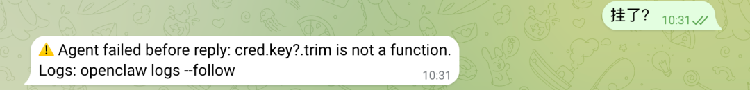 Telegram对话截图:机器人因配置错误而挂掉