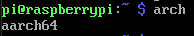 终端中arch命令的输出，显示架构为aarch64